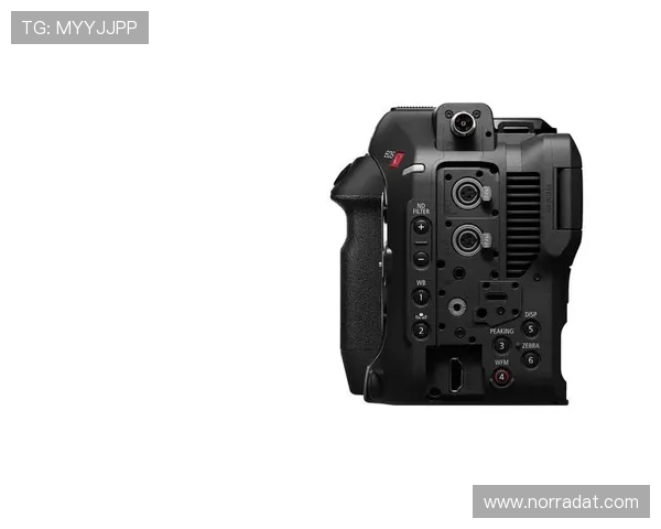 尊龙z6线上手机版安全稳定运行指南,轻松掌握操作技巧 尊龙z6线上手机版安全稳定运行指南,轻松掌握操作技巧