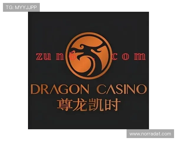 尊龙官网登录入口稳定可靠,保障您的游戏体验无忧无虑 尊龙官网登录入口稳定可靠,保障您的游戏体验无忧无虑