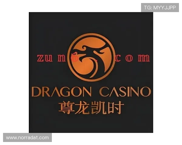 尊龙时凯客服入口：便捷快速解决您的所有疑问与问题