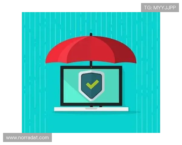 凯时KS国际入口安全登录流程详解,保障您的账号安全与隐私保护 凯时KS国际入口安全登录流程详解,保障您的账号安全与隐私保护