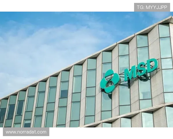 尊龙z6登录页面优化升级,提升用户体验和登录速度的最新措施 尊龙z6登录页面优化升级,提升用户体验和登录速度的最新措施