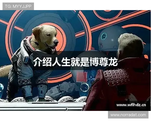尊龙人生就是博登录：提升生活品质的实用技巧与成功经验